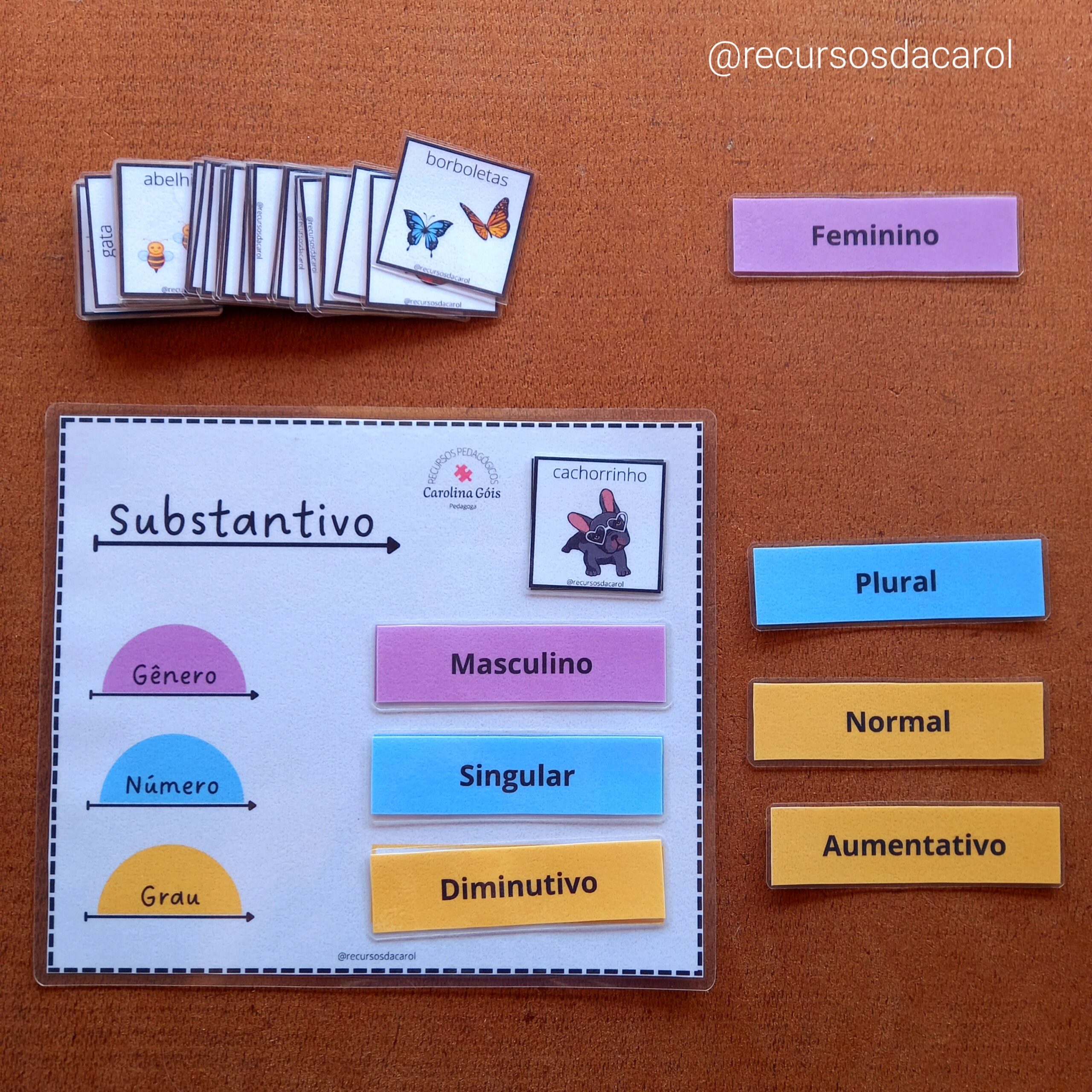 Flexão do Substantivo - Imagem 2