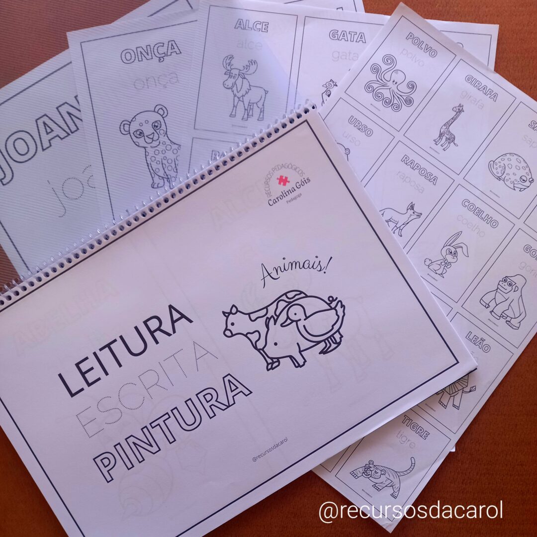 Caderno de Leitura Escrita e Pintura